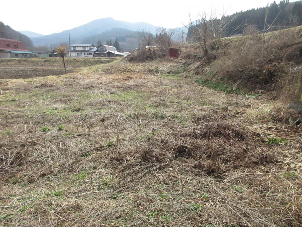 View 22
