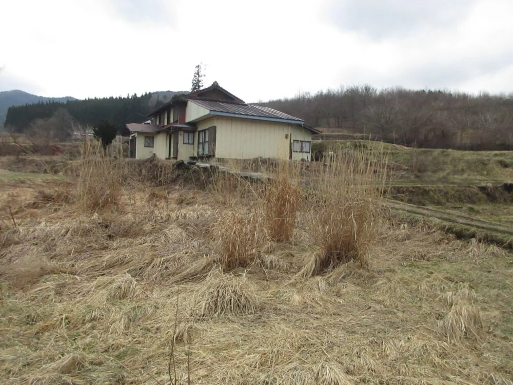 View 3