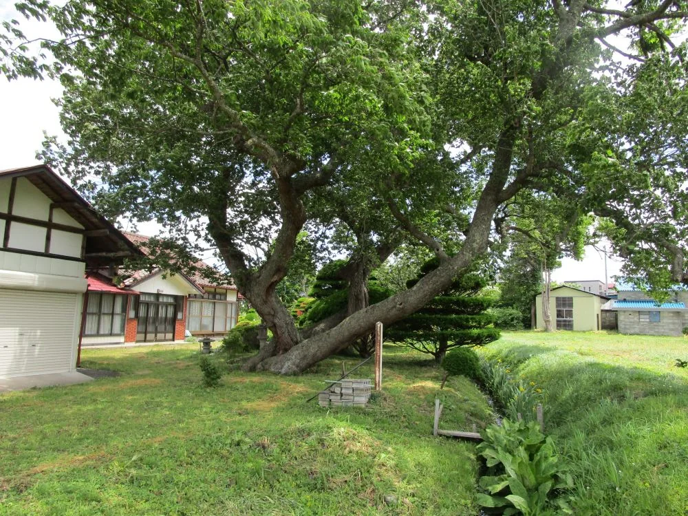View 19