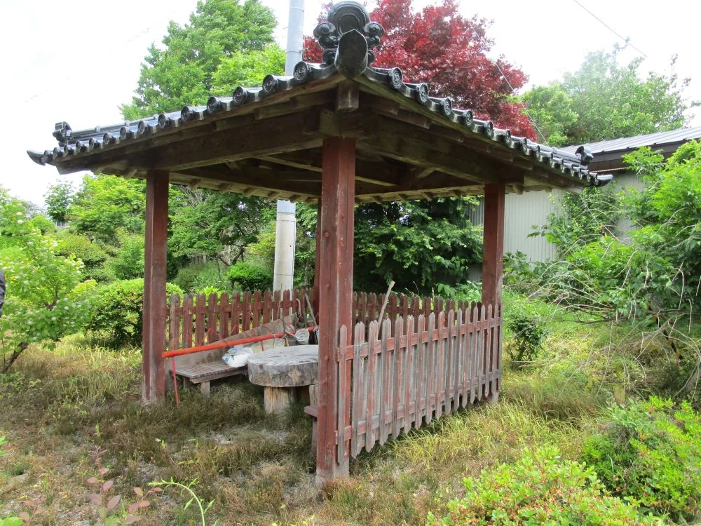 View 20