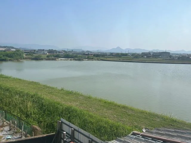 View 5