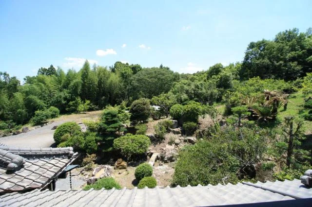 View 2
