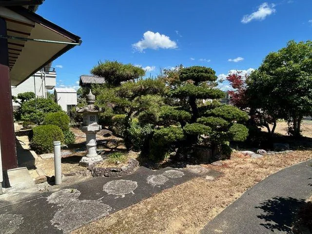 View 4