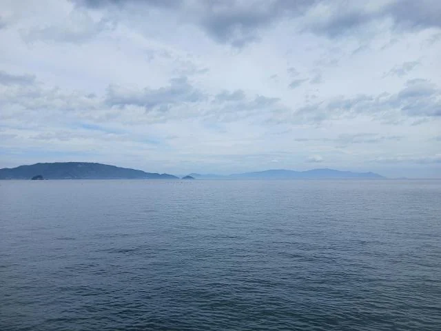 View 7