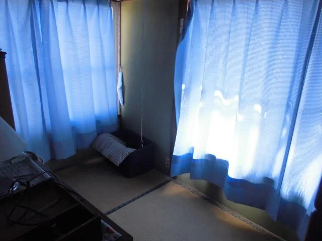 View 8