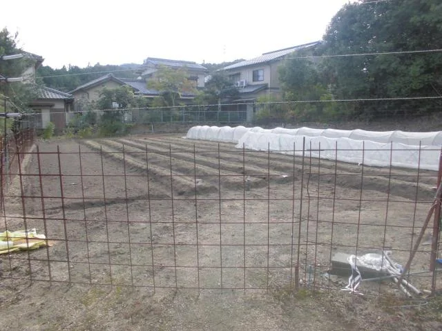 View 10