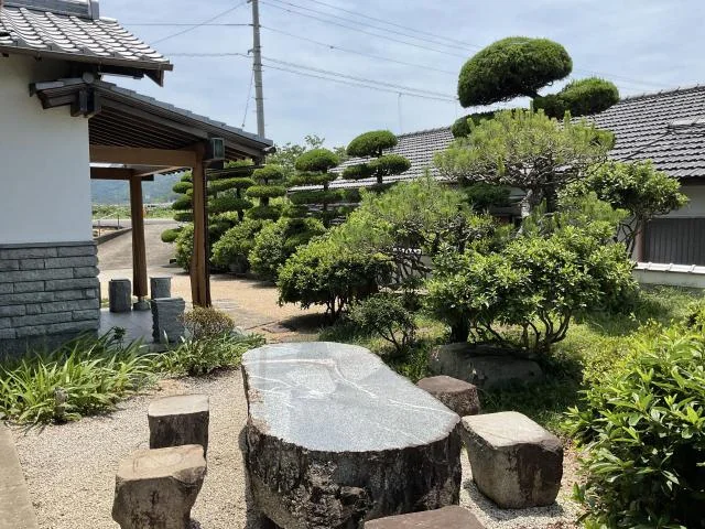View 20