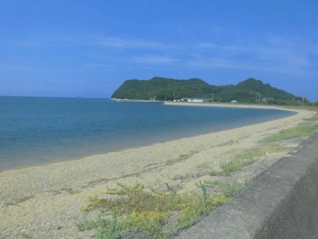 View 7