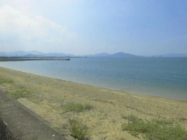 View 8