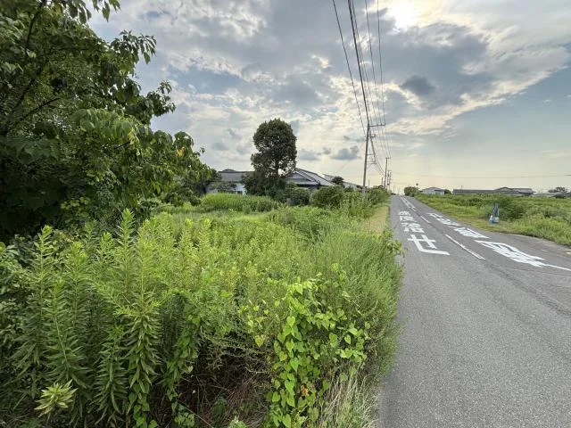 View 9