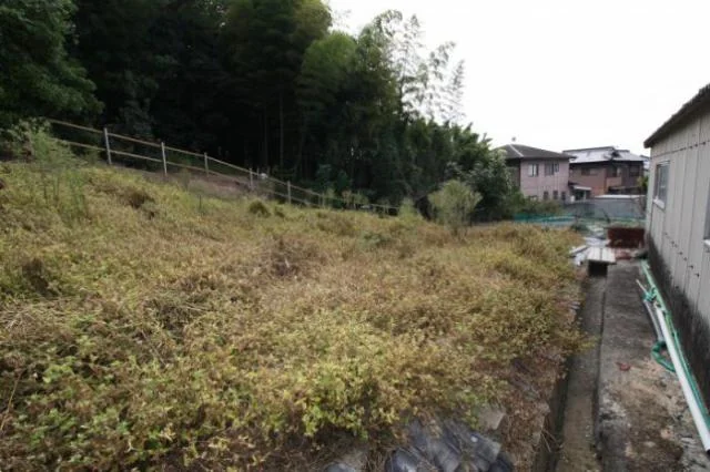 View 8
