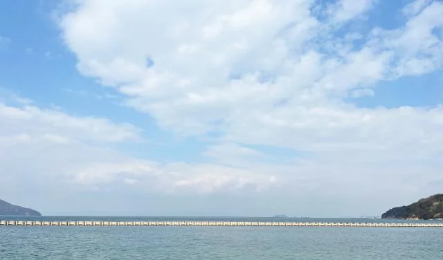 View 7