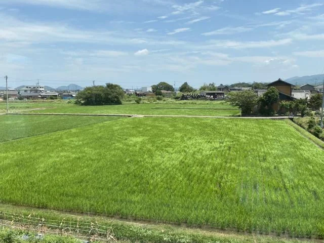View 10