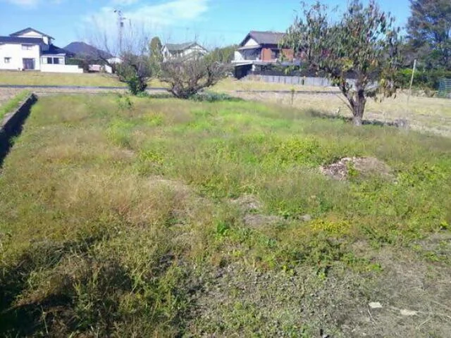 View 6