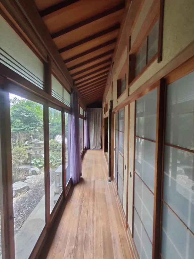 View 5