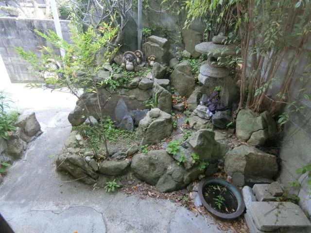 View 24