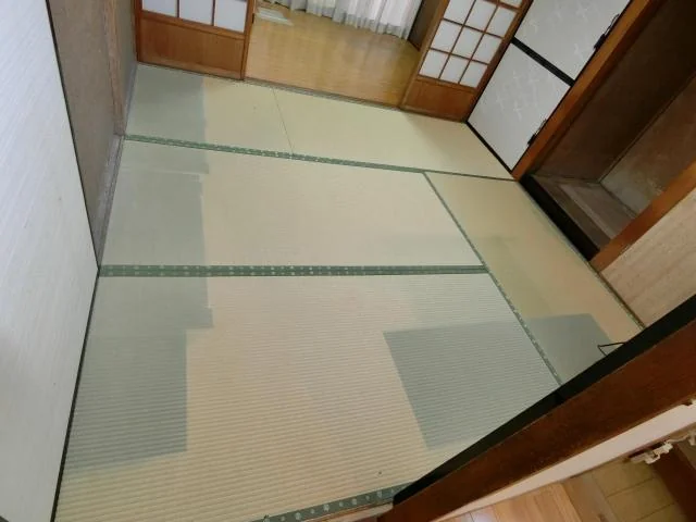 View 4