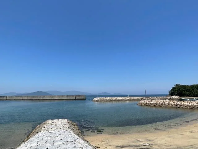 View 7