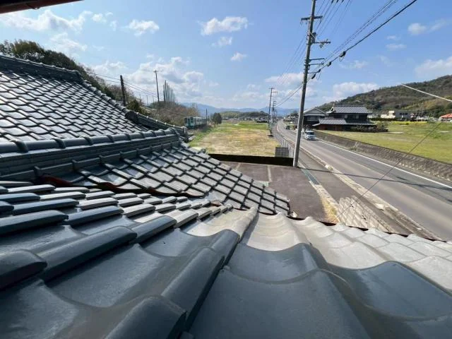 View 14