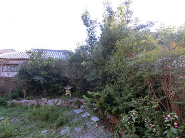 View 21