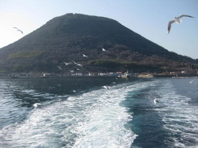 View 4
