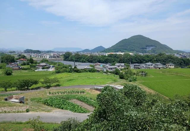 View 9