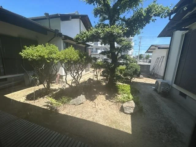 View 4