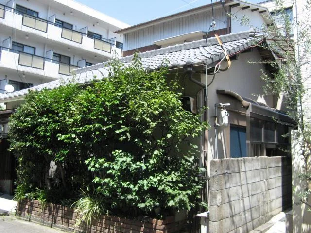 View 2