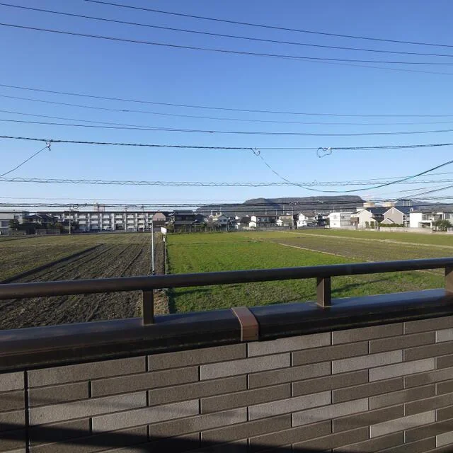 View 4
