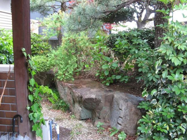 View 10