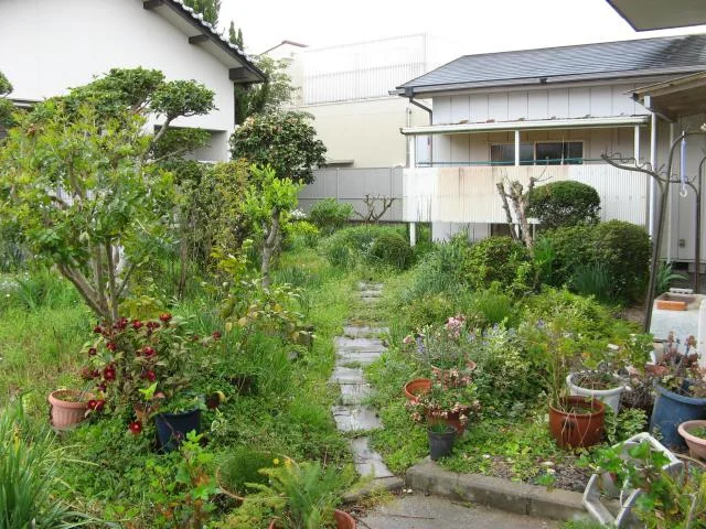 View 4