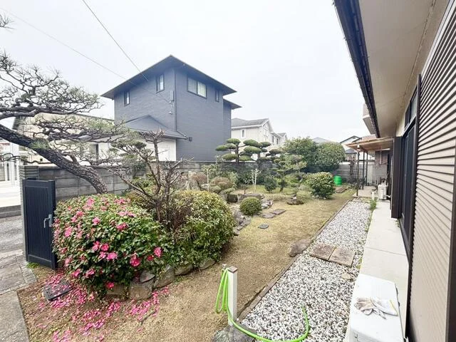 View 5