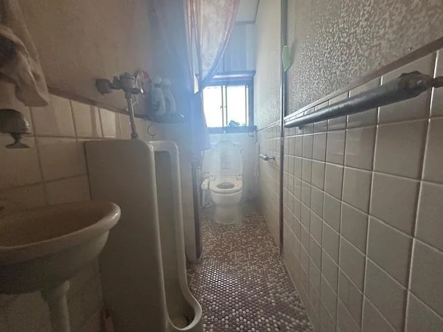View 15