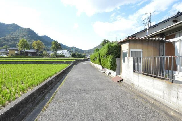 View 6