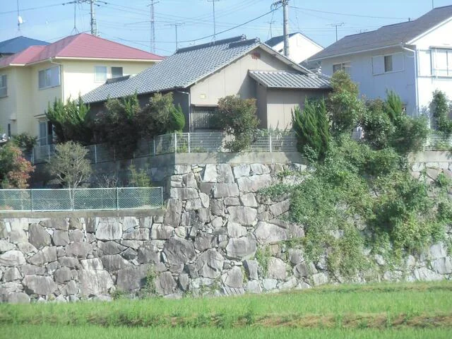 View 6