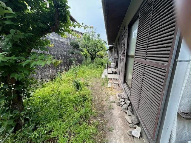 View 3