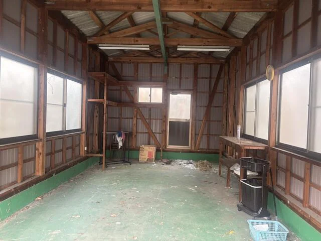 View 3