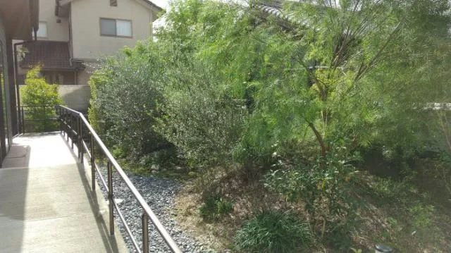 View 7