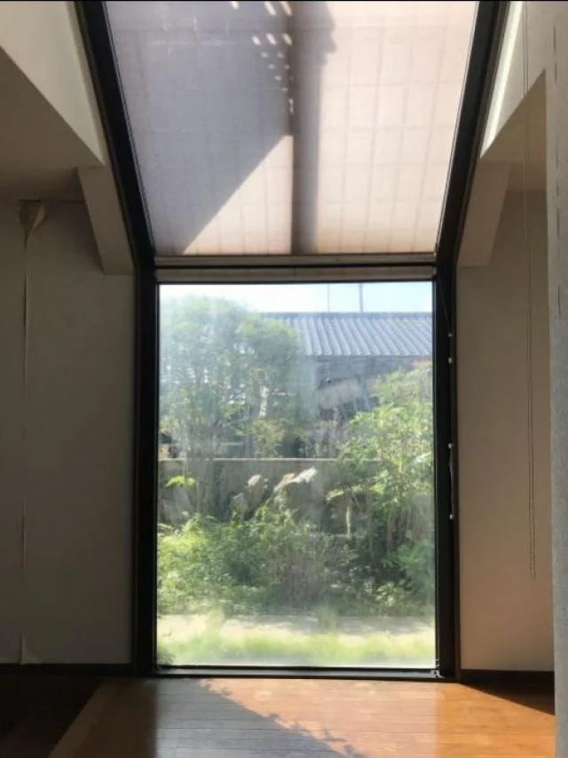 View 6