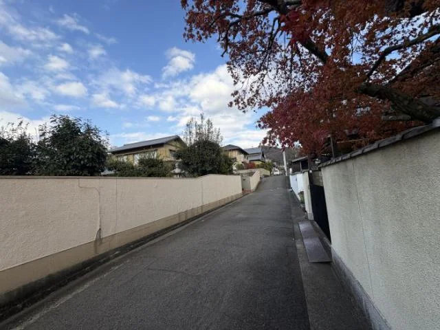 View 14