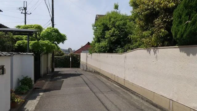 View 15
