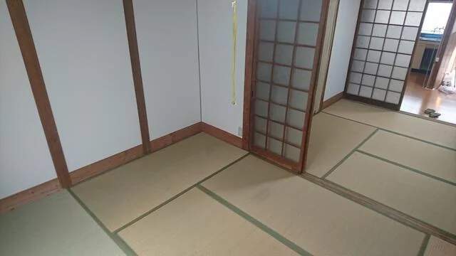 View 6
