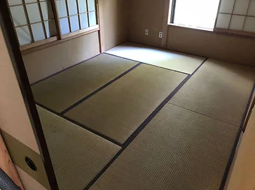 View 6