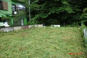 View 5