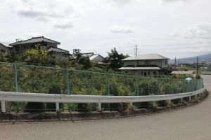 View 5