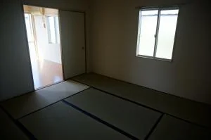 View 8