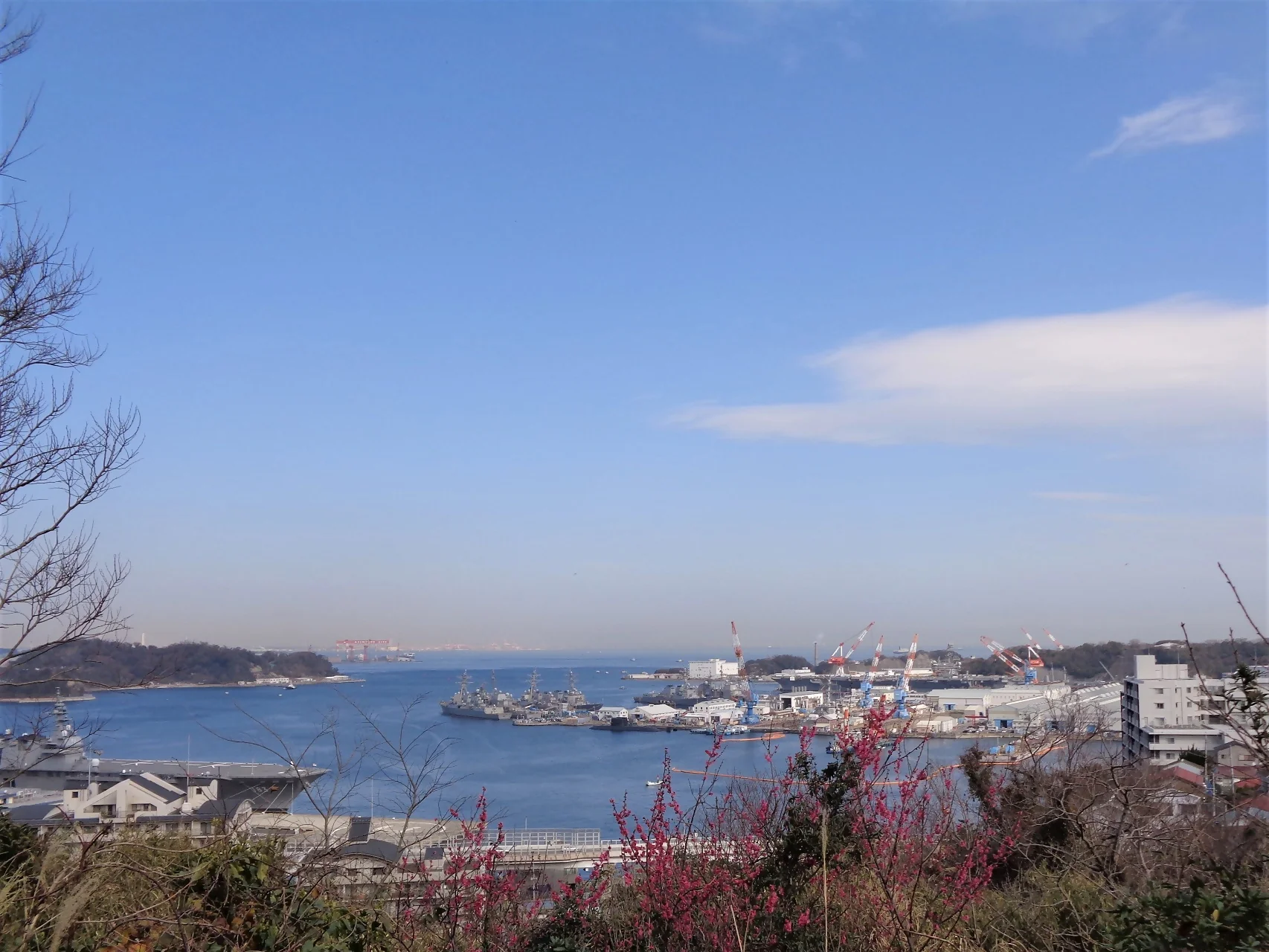 View 6