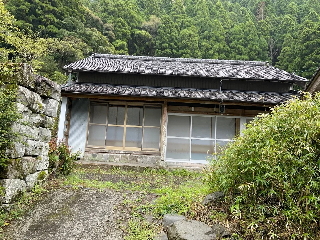 View 3