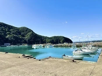 View 9