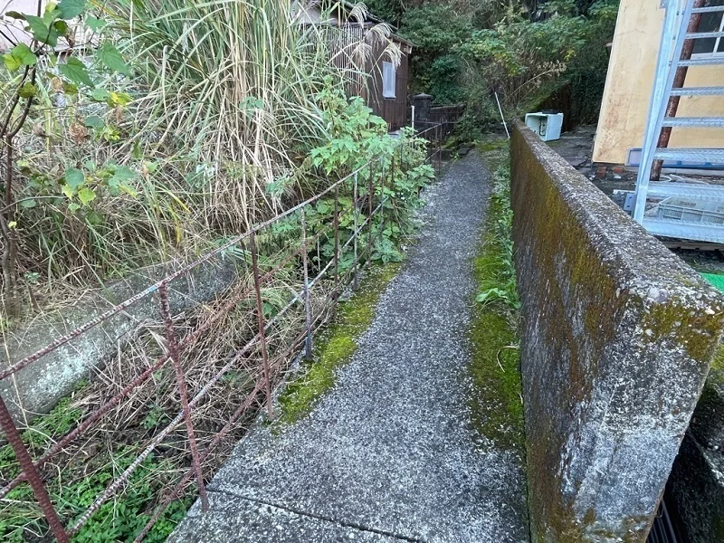 View 3